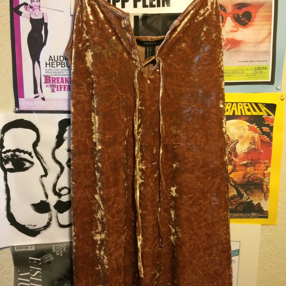 Forever21 Velvet Going Out Dress